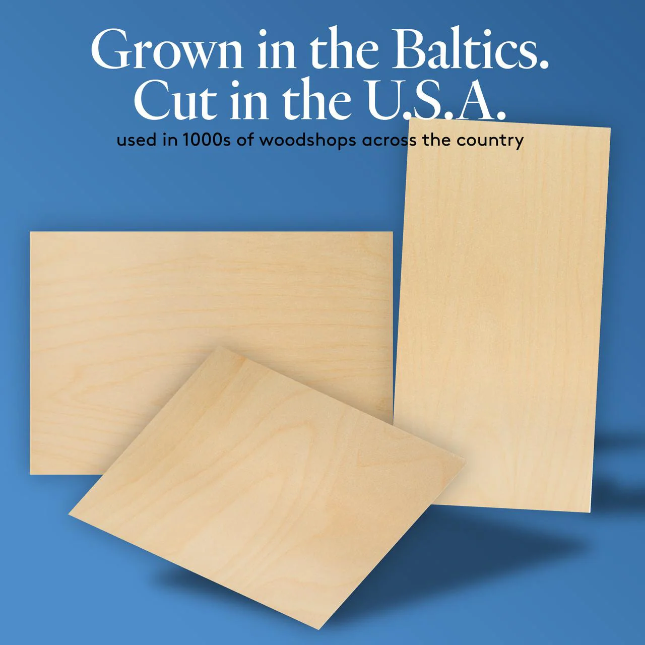 1/8" x 6" x 12" Baltic Birch B/BB Plywood - Image 5