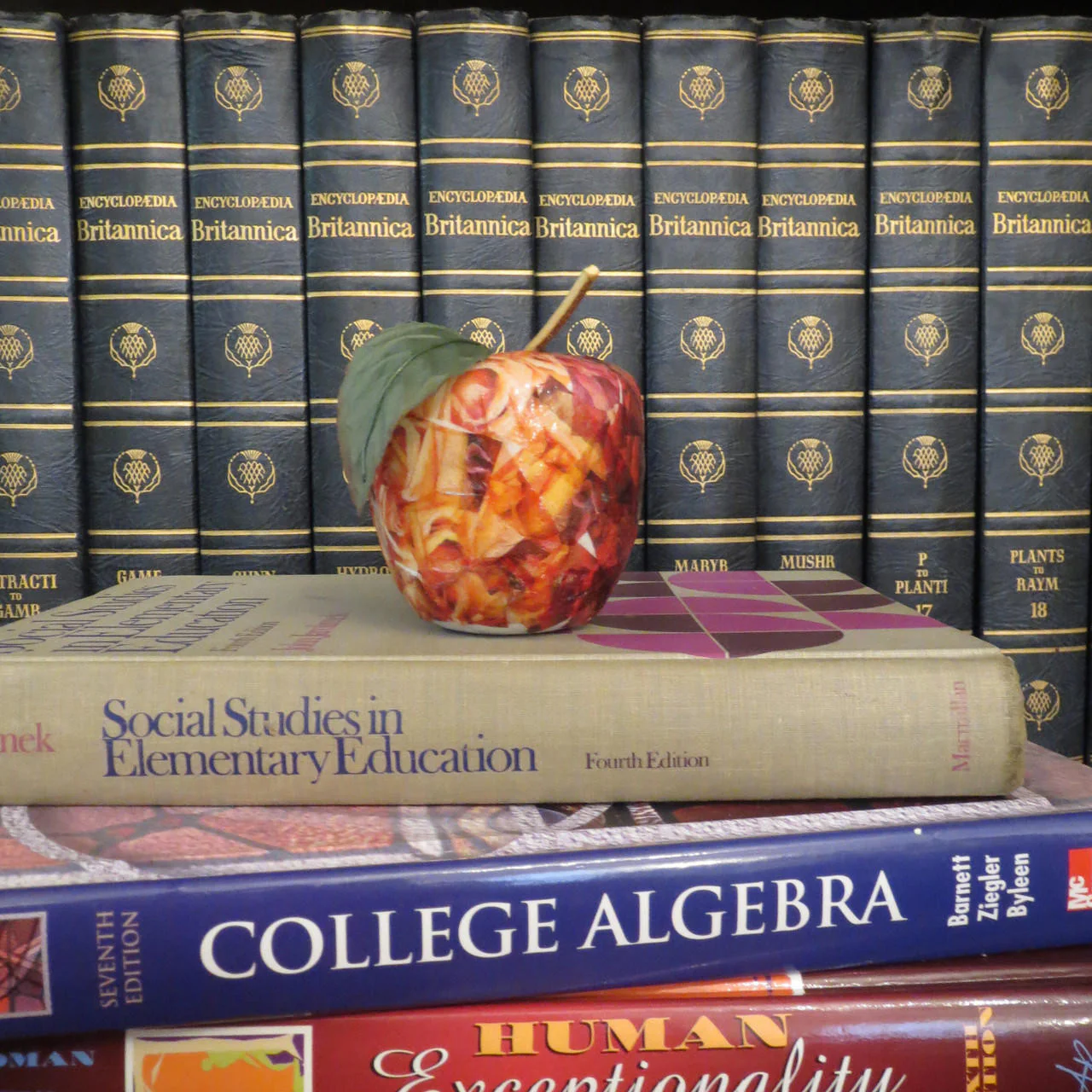 2-1/2" Apple - Image 3