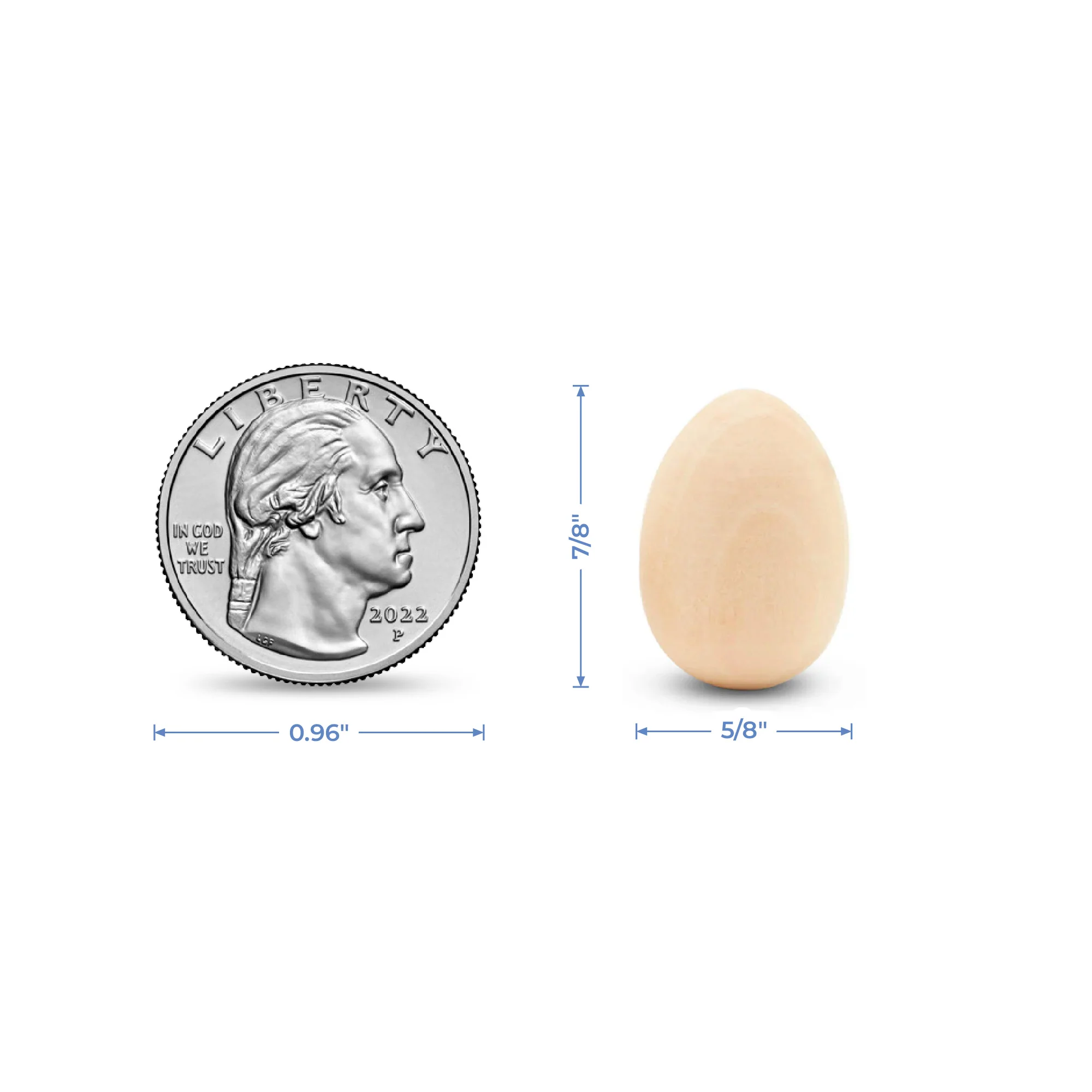 7/8" Wood Wren Egg - Image 6