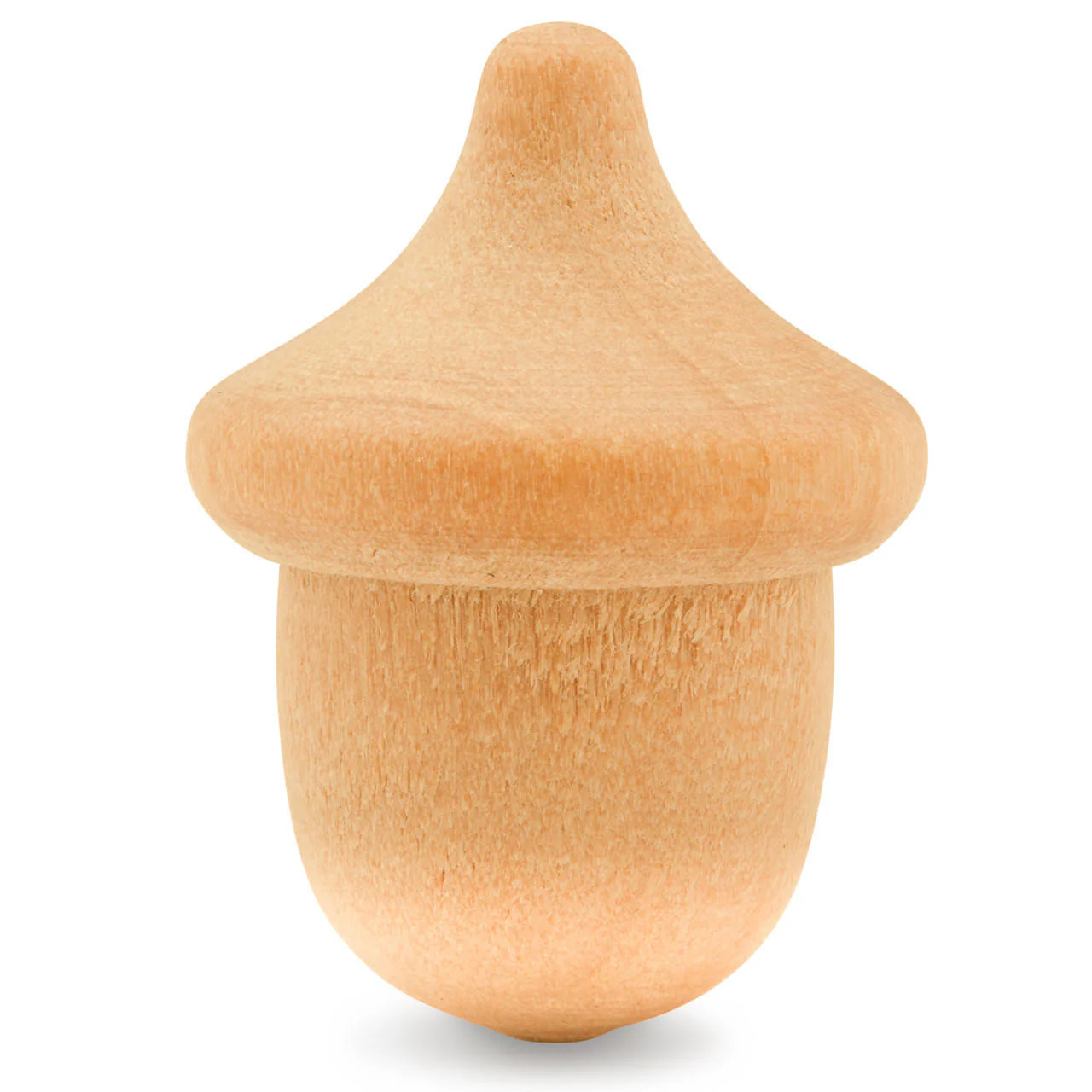 Acorn