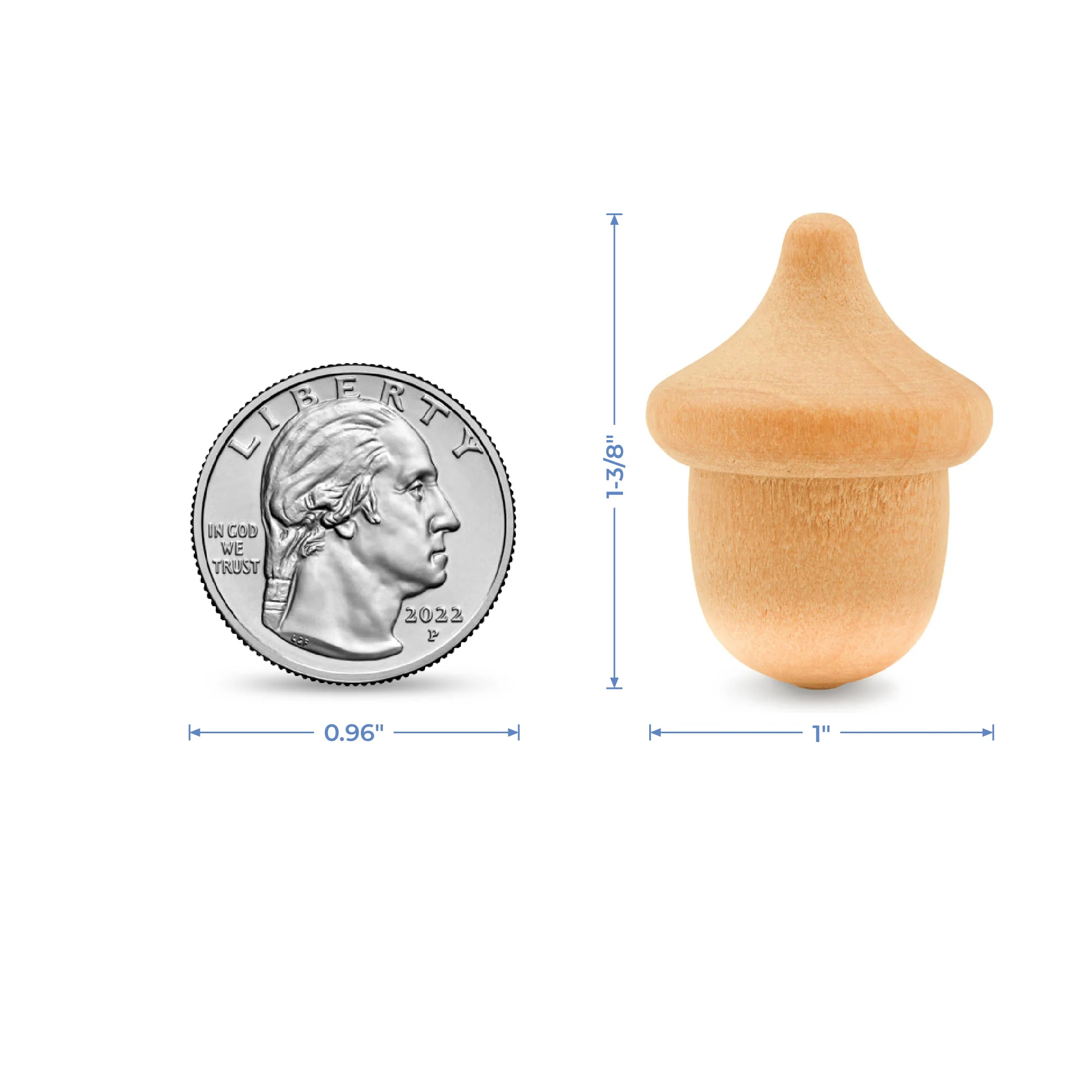 Acorn - Image 5