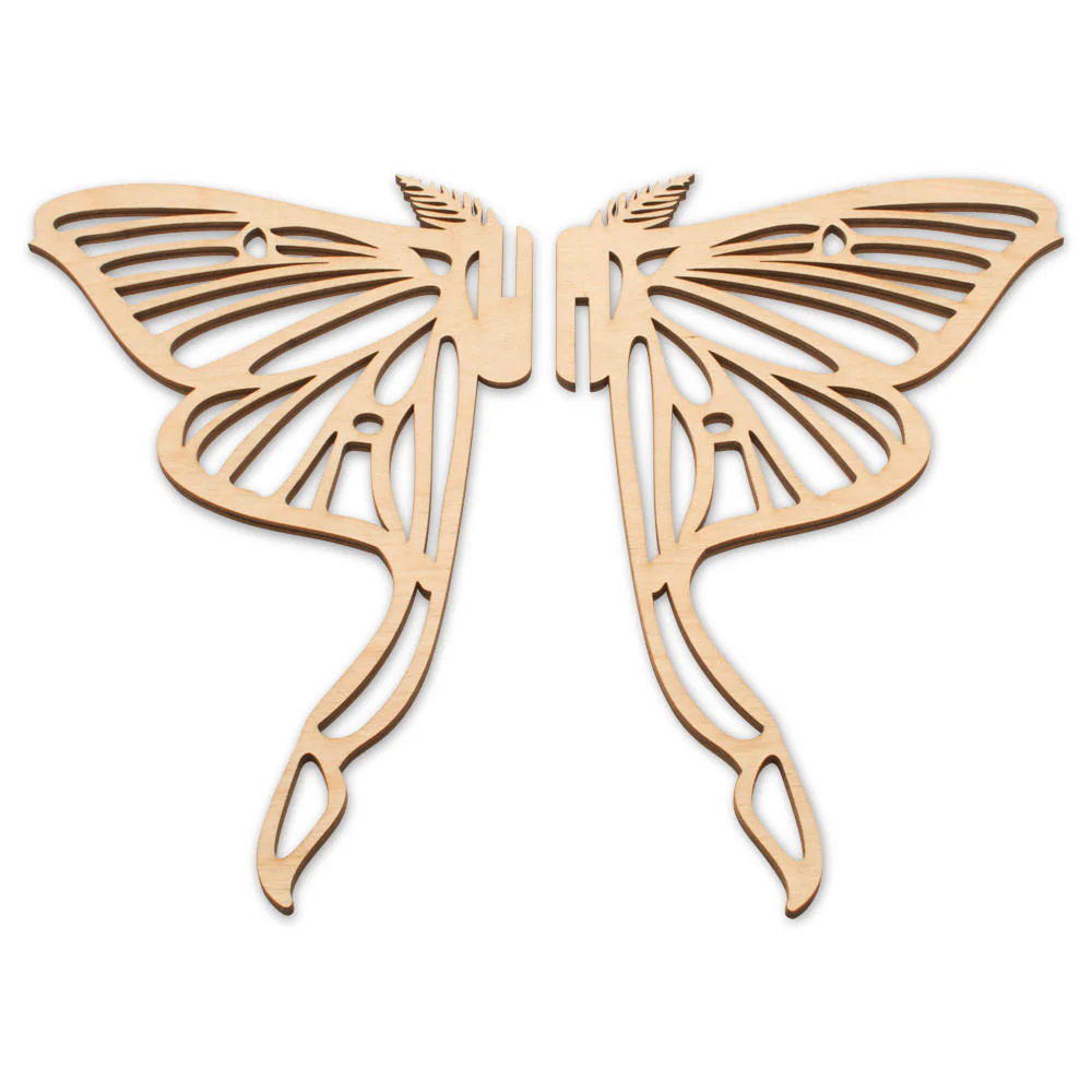 Luna Moth by Lia Griffith, 10" - Image 2